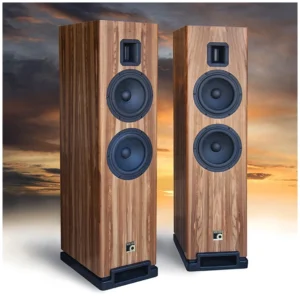 Montana M0!5 speakers in Rosewood with background