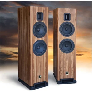 Montana M0!5 speakers in Rosewood with background