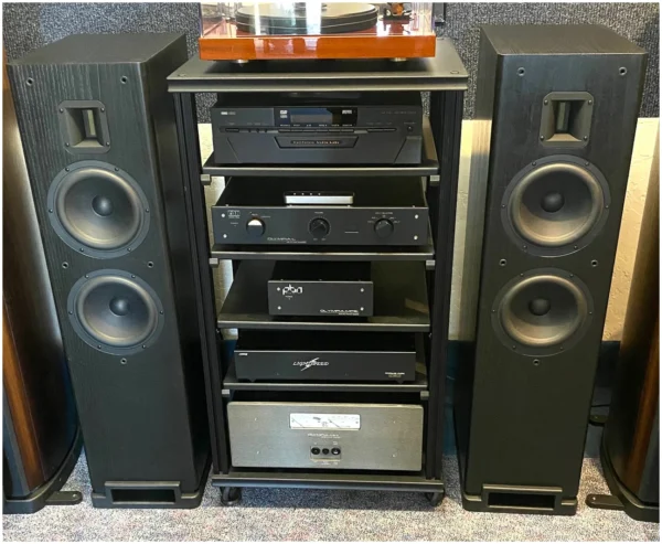 Montana M0!5 speakers in black in system with no grills